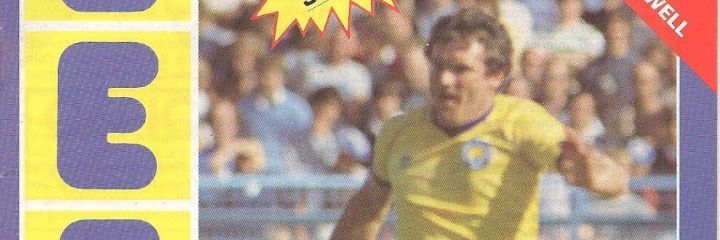 leinsterwhite's profile banner image