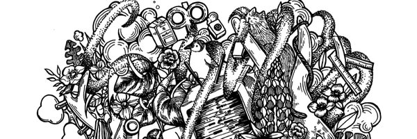 n2_8_ Profile Banner