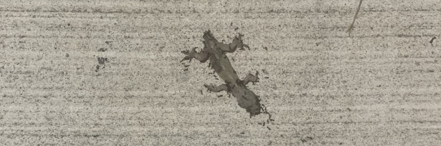 ぴあにっしも banner