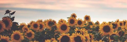 Cheyenne1298's profile banner image