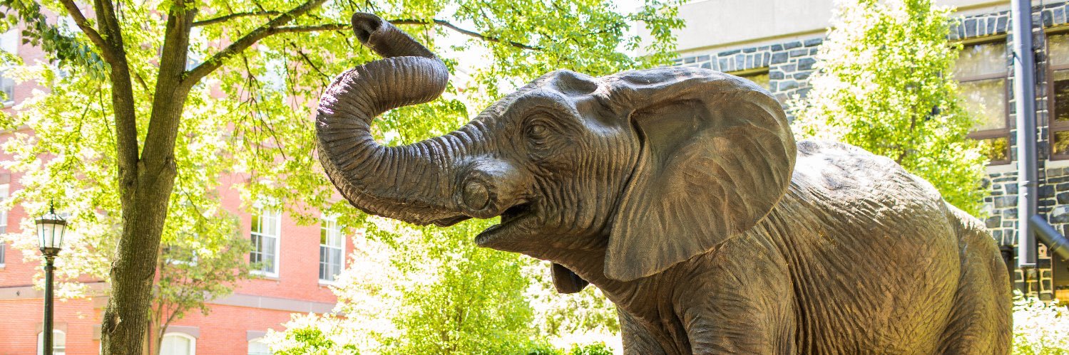 Alexis Wright PhD PT banner