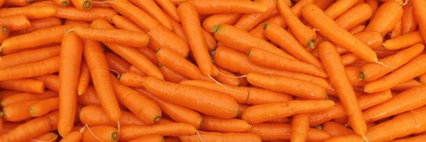 FarmRishma Profile Banner