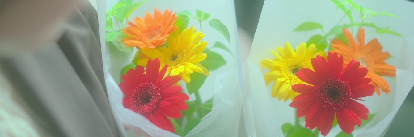 M◡̈an banner