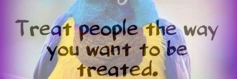 Deb Wood-Chambers 🇺🇲🟦🕊️💙🪶🏳️‍🌈 banner