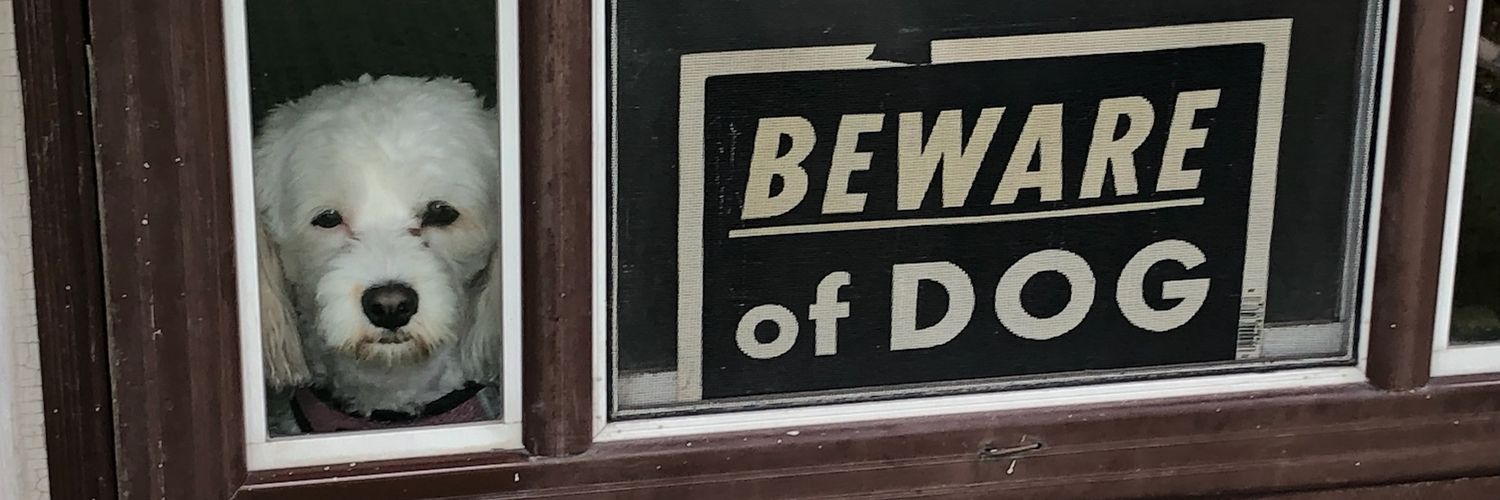 JonLCB's profile banner image