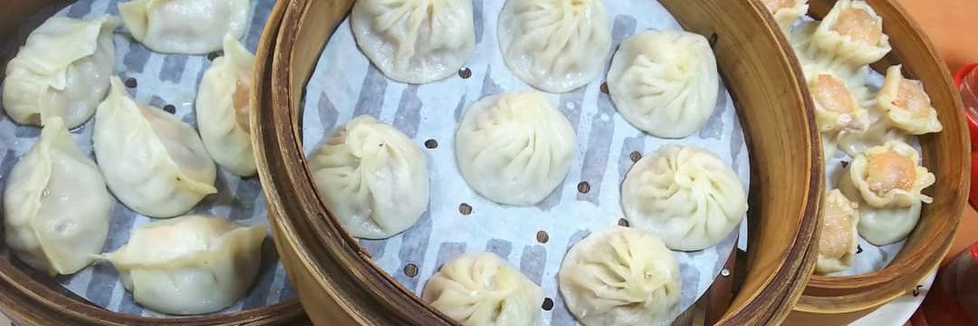 柴犬マスター💎💛👑🍊🌾 banner