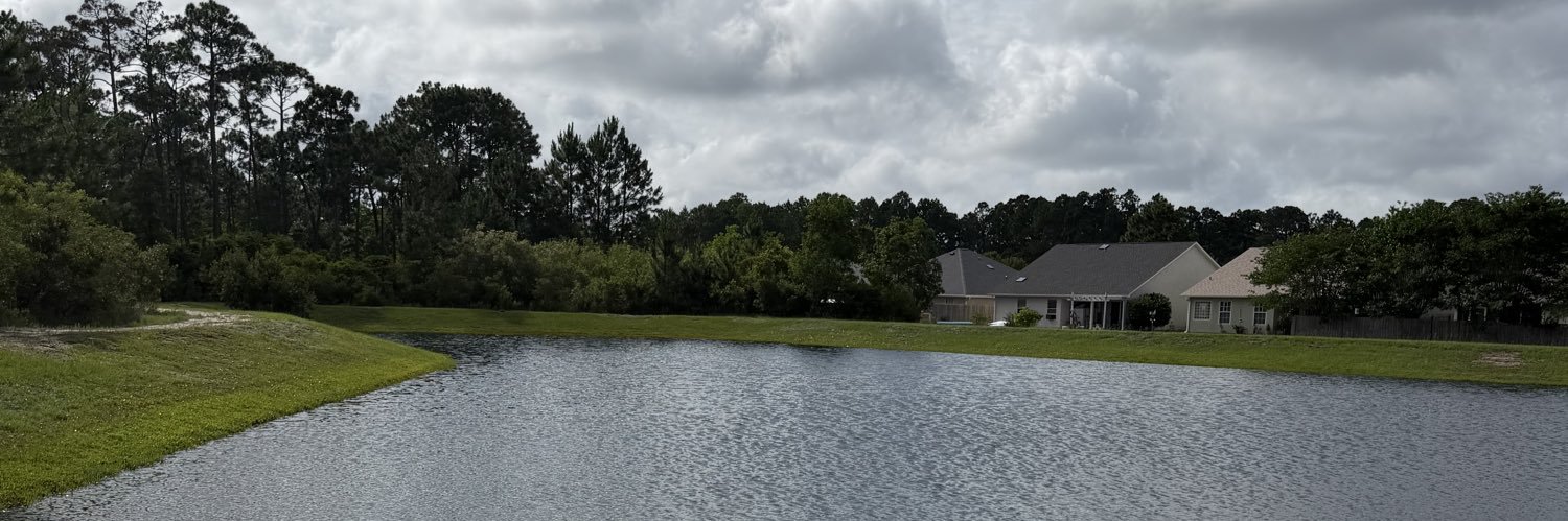 CynCala's profile banner image