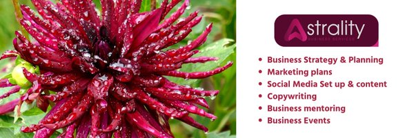 AstralityBS Profile Banner