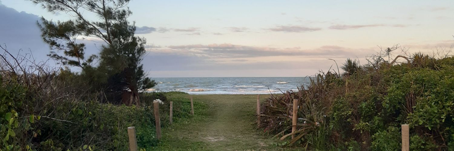 Neevessara's profile banner image