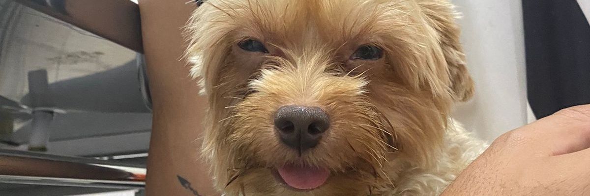 diegoldelima's profile banner image