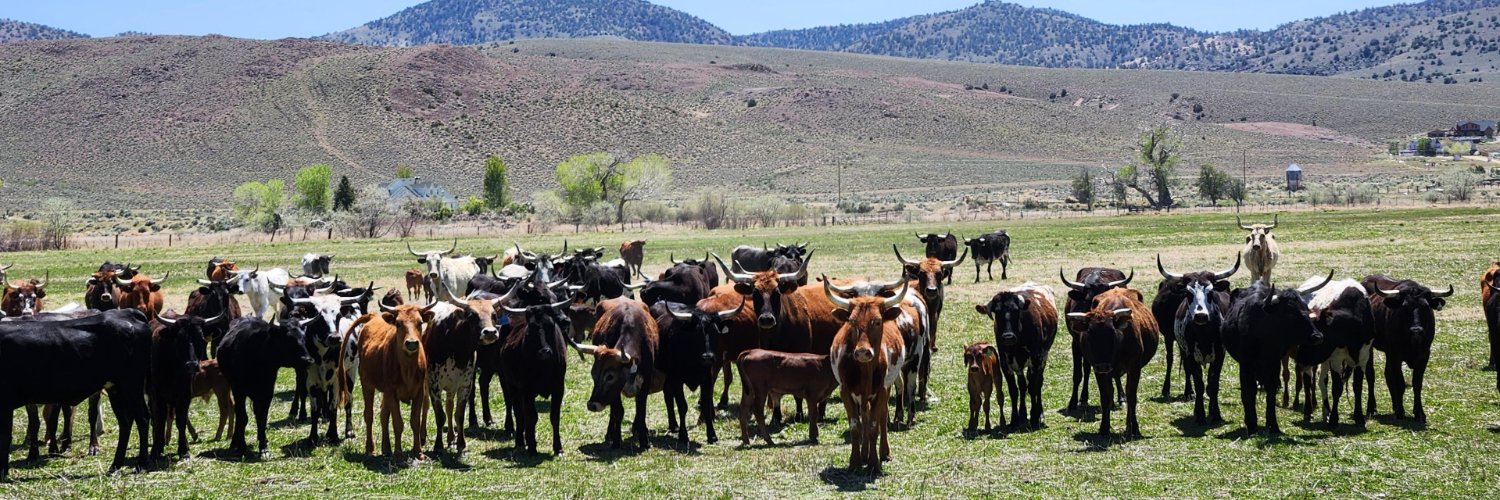 NRCS_Nevada banner