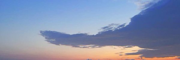 EmilyCo12939191's profile banner image