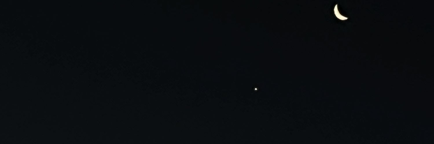 _rocioavalos's profile banner image