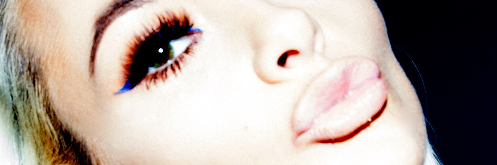 Stephanie Murone banner