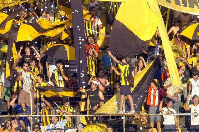 Roualvarez's profile banner image