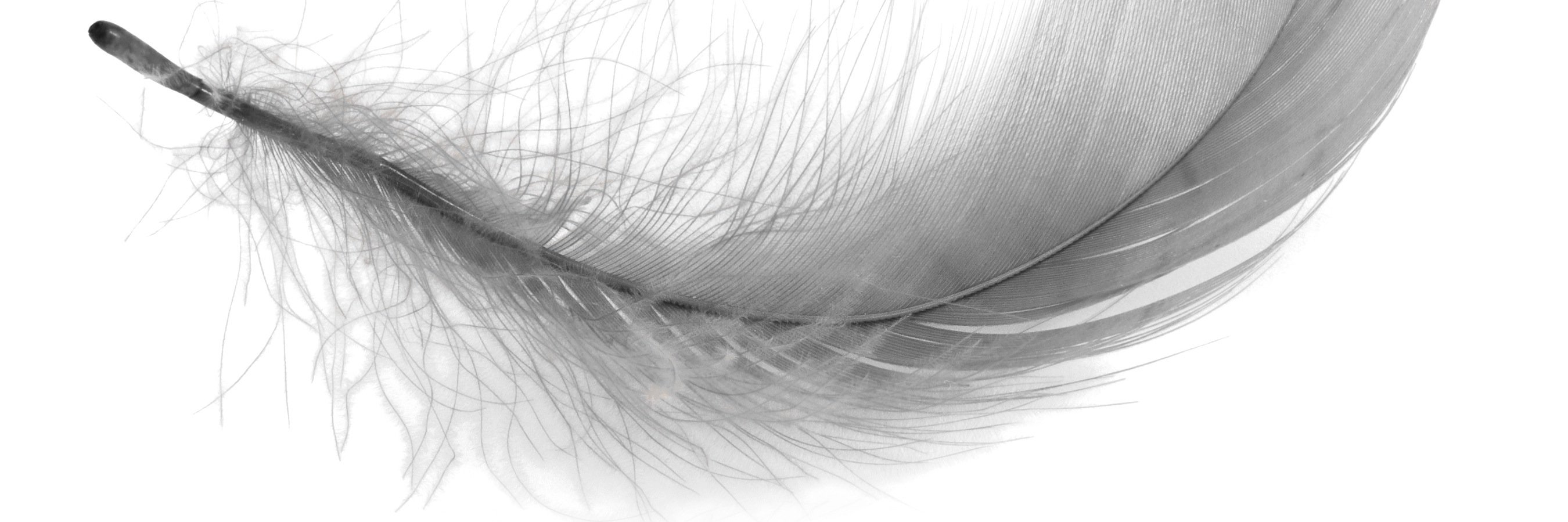 edmacara's profile banner image