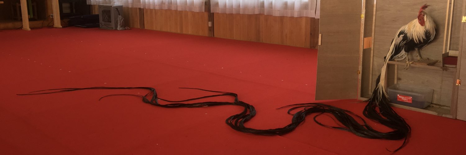 ナンシー・Onagadori's banner