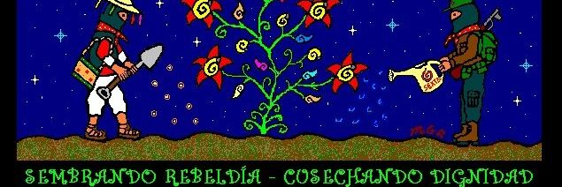 bihurria's profile banner image