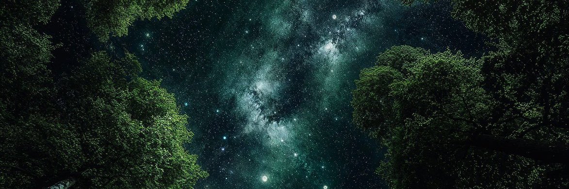 iihanans's profile banner image