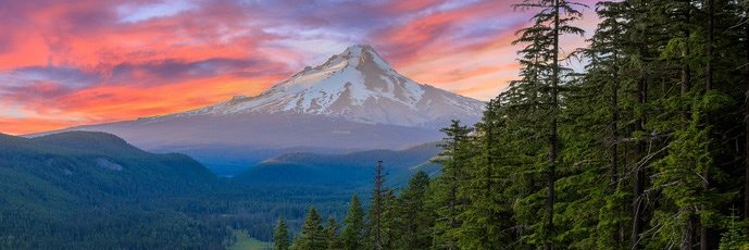aaron1sorenson's profile banner image