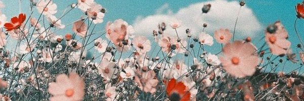 IrisvdScheer_ Profile Banner