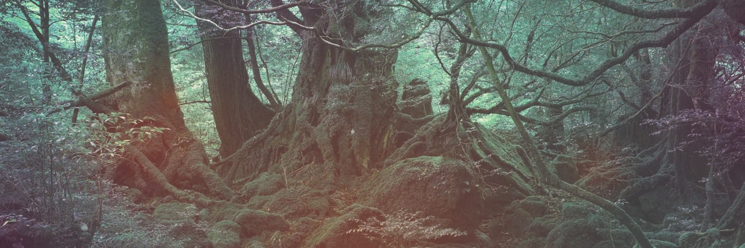 Lopiken's profile banner image