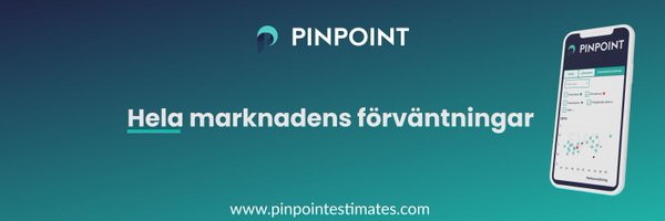 Pinpoint_est Profile Banner