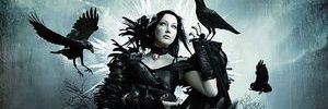 HarderKing's profile banner image