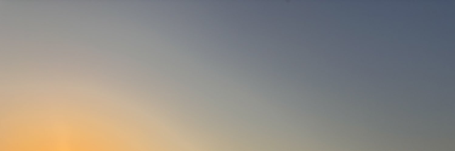 Elif banner