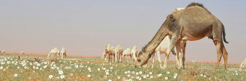 mthawi_'s profile banner image