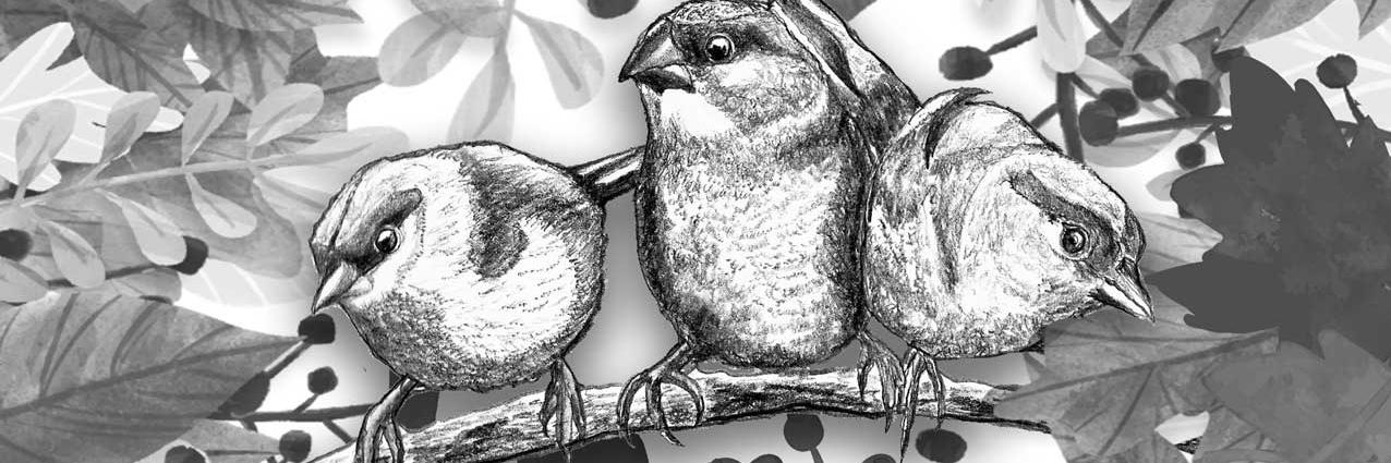 a_casales's profile banner image