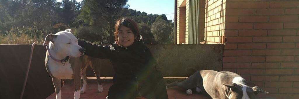 BJSIK28's profile banner image