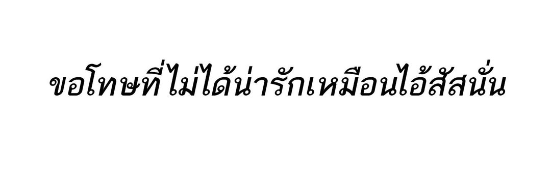 ดาวเหนือ banner