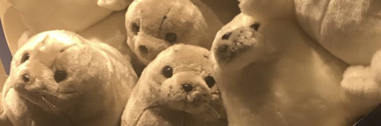 もみ banner