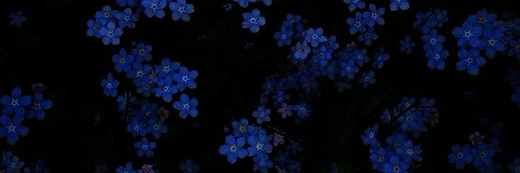 spookyj_'s profile banner image