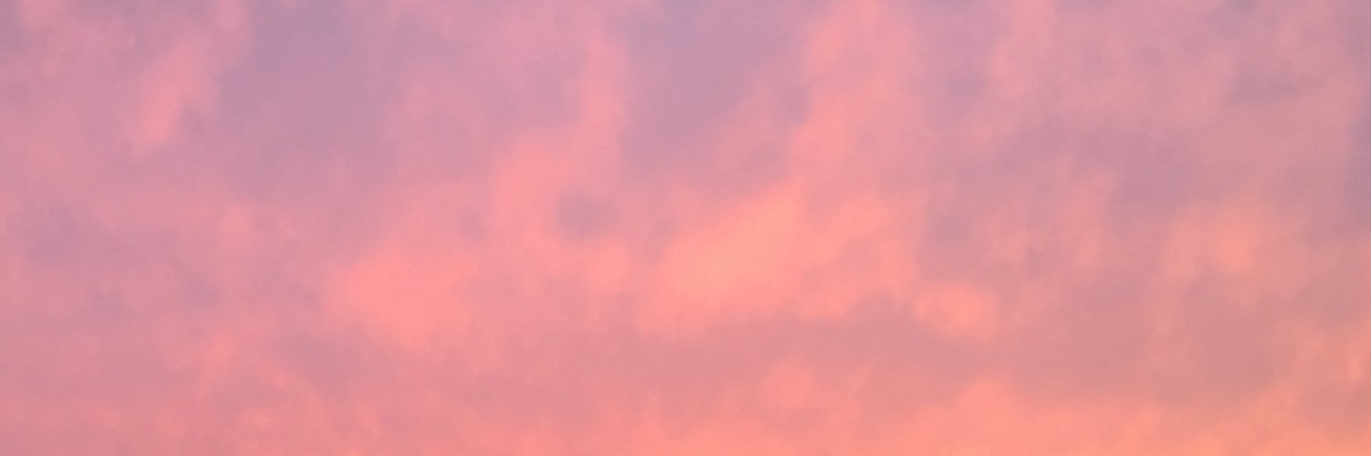 dsç banner