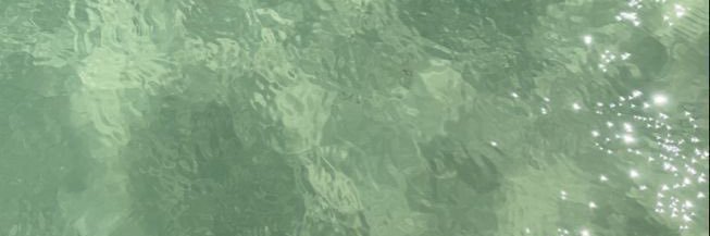 Estefania Villarreal banner