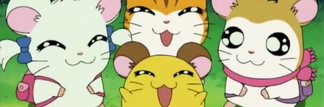 _owa_pocha's profile banner image