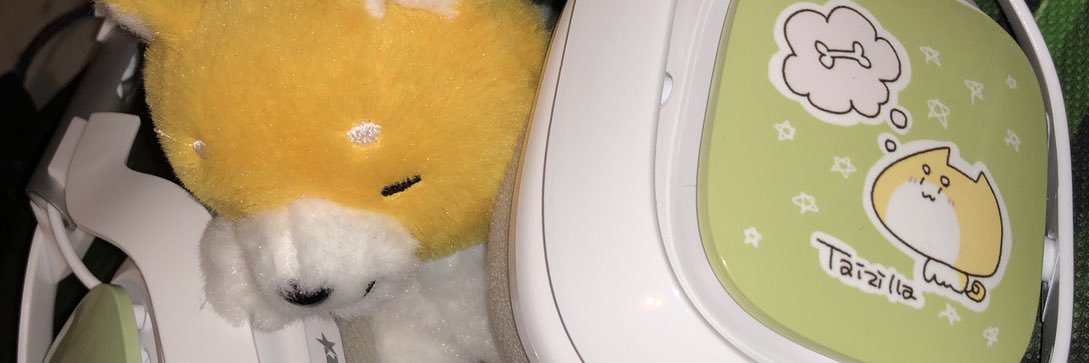 Taizilla's profile banner image
