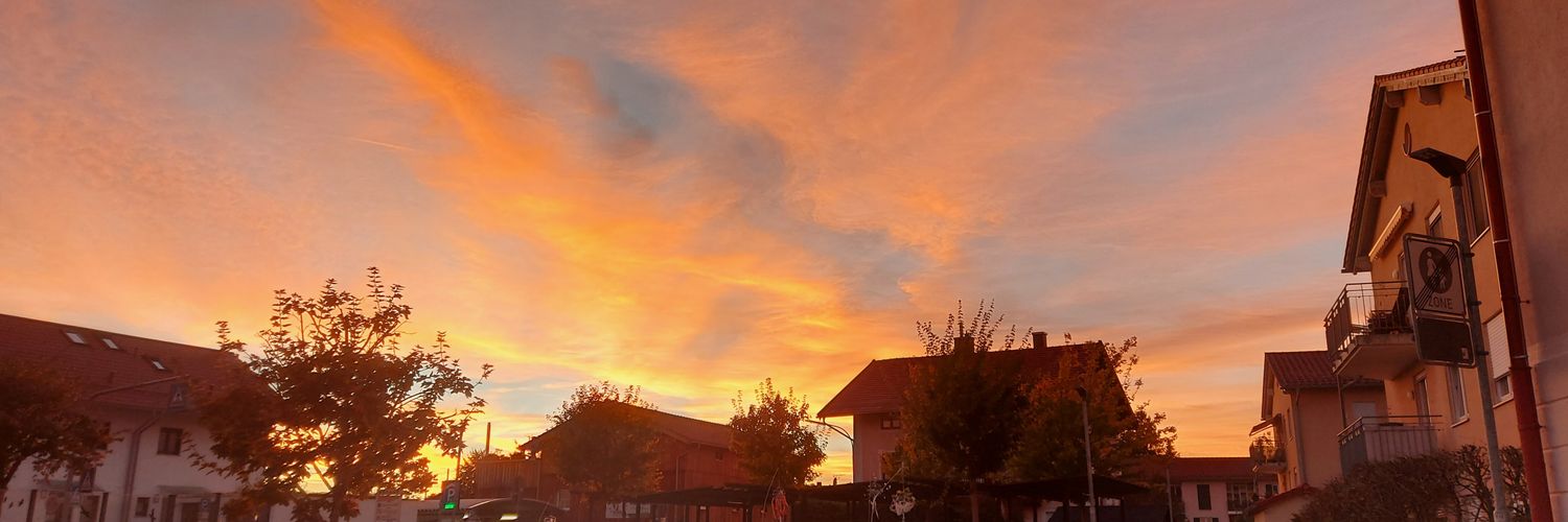 SabrinaRoseT's profile banner image