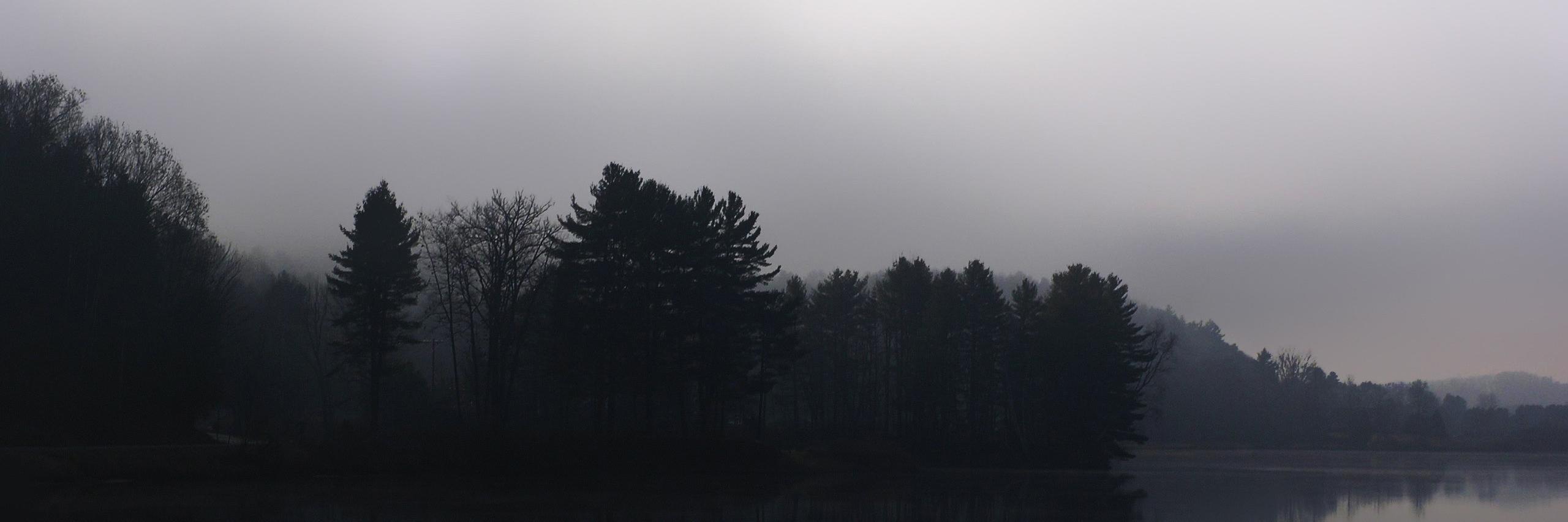 damedumort's profile banner image