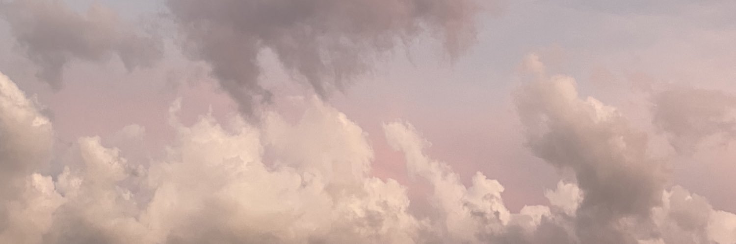 nikollovee's profile banner image