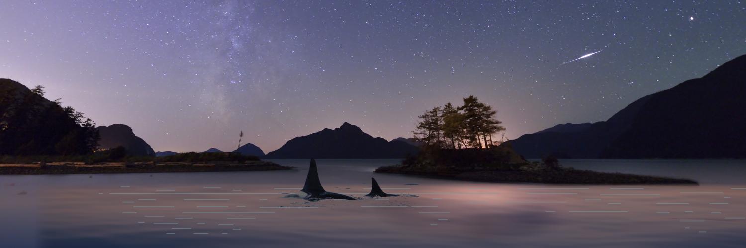 OceanFilmsFest's profile banner image