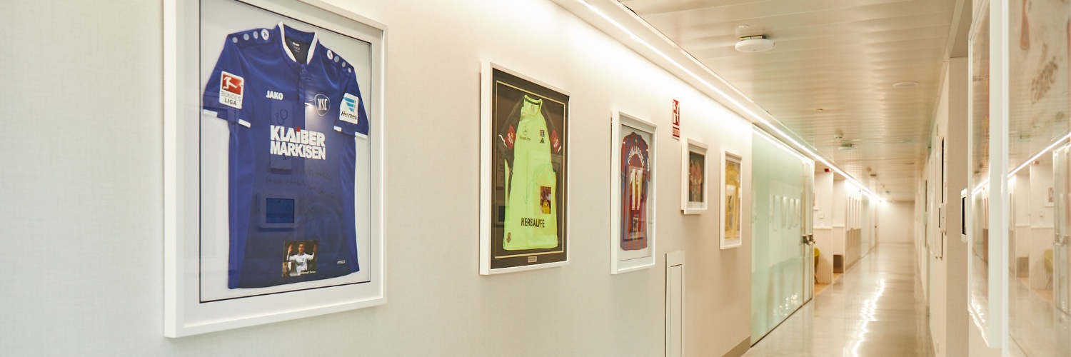 Leyes, Flores & CO banner