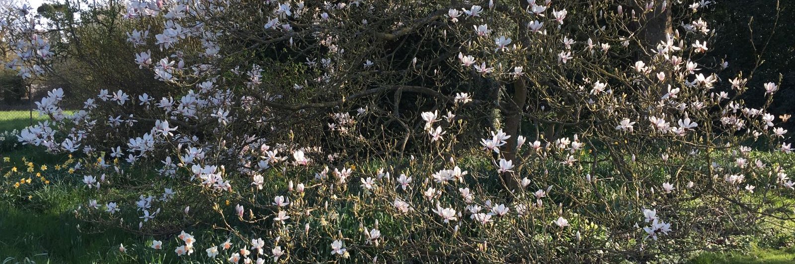 Peter Horrocks banner