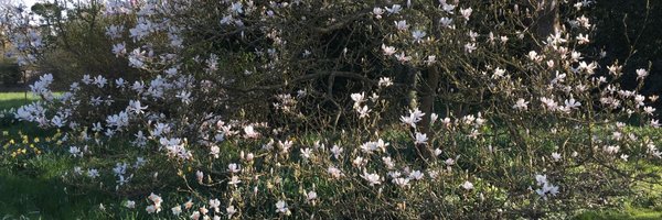 PeterHorrocks Profile Banner