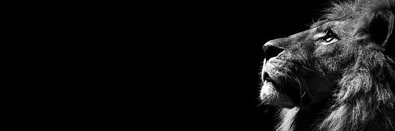 golf_pardo's profile banner image