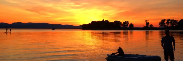 RickettsLabVT Profile Banner