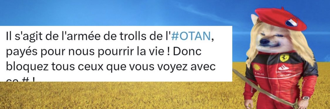 Alexia 💙💛 NAFO 🇫🇷 banner