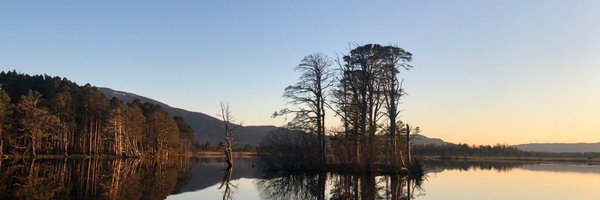 RSPBLochGarten Profile Banner